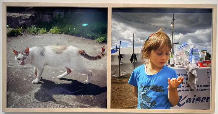 奈良美智攝影作品