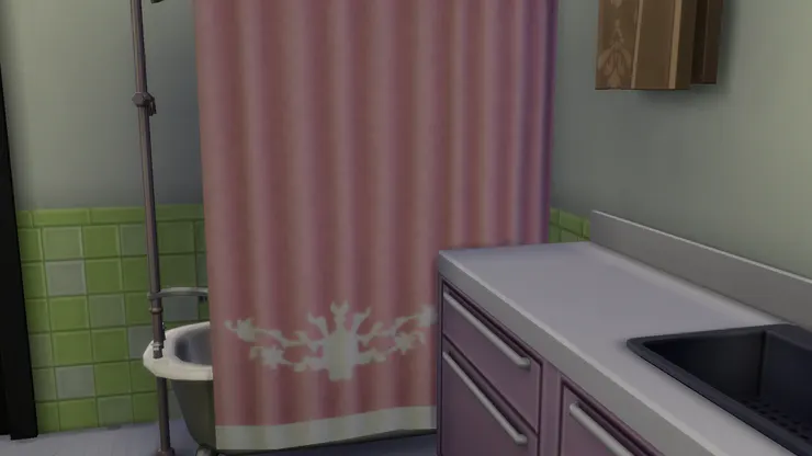 浴簾也會發霉,有人會用漂白水抹,但我一是不管,二是丟掉換新的算了。