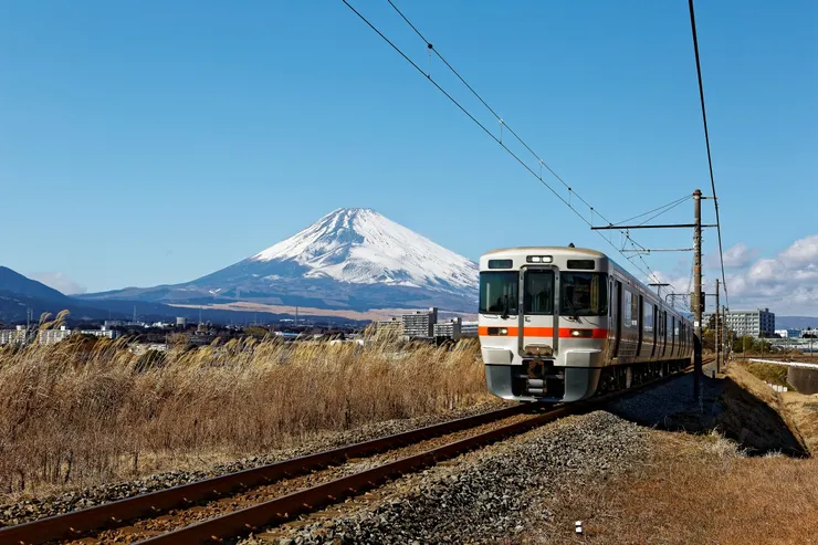 Source：Shutterstock