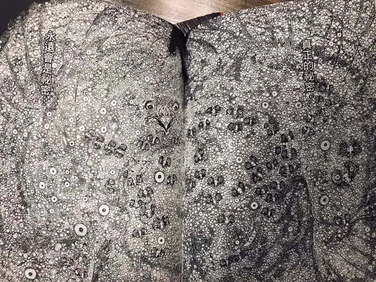 攝自《魔女》內頁。令人讚嘆！