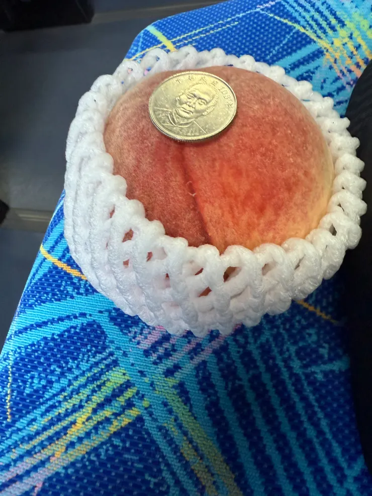 看到超大顆的水蜜桃了嗎？