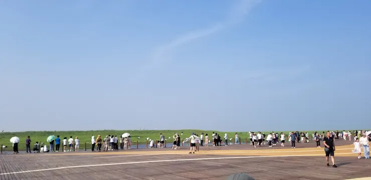 看臺的前方就是丹頂鶴飛行位置