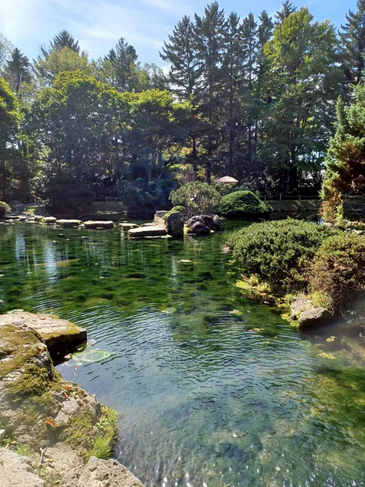 據說是很有閒錢的東京人做的真鍋庭園