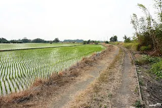 (9242)-往新港方向拍