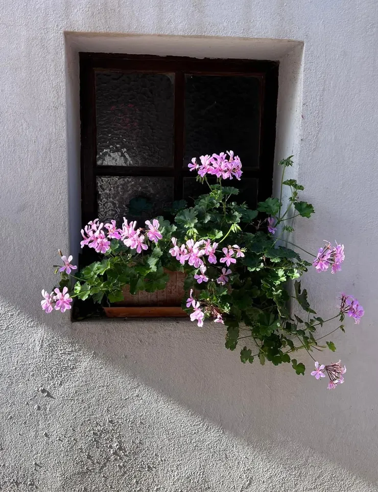 這樣的景，好想畫起來