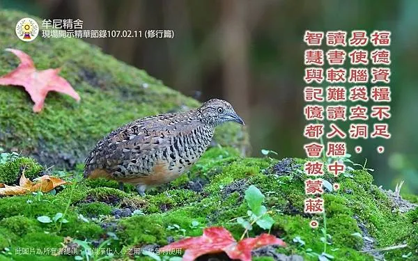 20180303_180321_0015