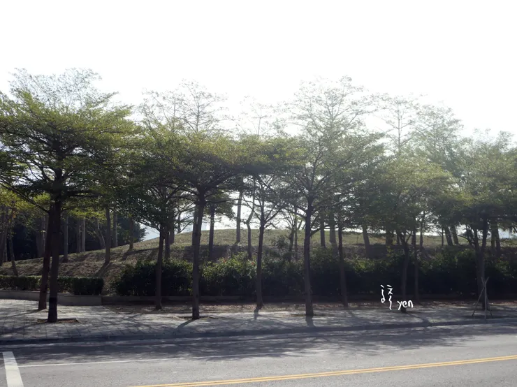 看到左側的綠林,就知道美術館園區到了