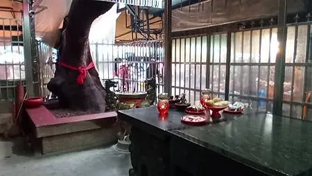 [新北旅遊]二百四十七年歷史樹林區樹德宮，老廟所在必有美食、