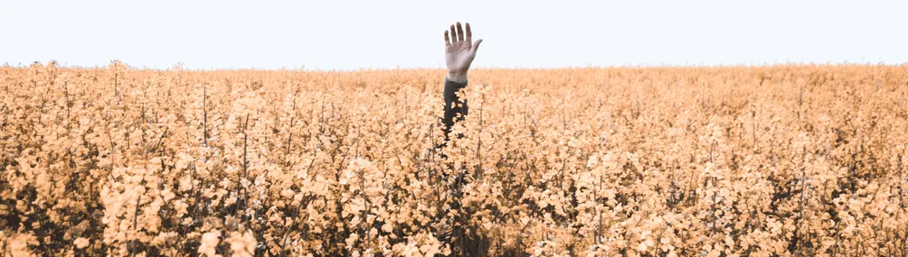 九等工程師的沙龍