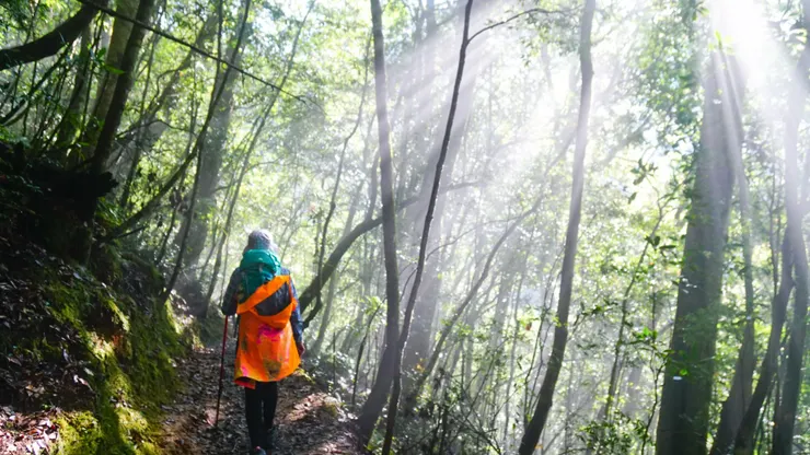 陽光賜給我神奇的力量~繼續爬坡