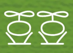 豆豆森林種子盆栽教學D.I.Y的沙龍