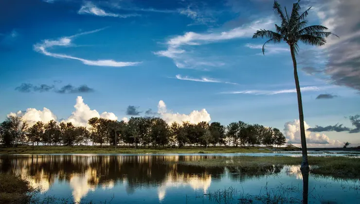 知本溼地，來源：微笑台灣