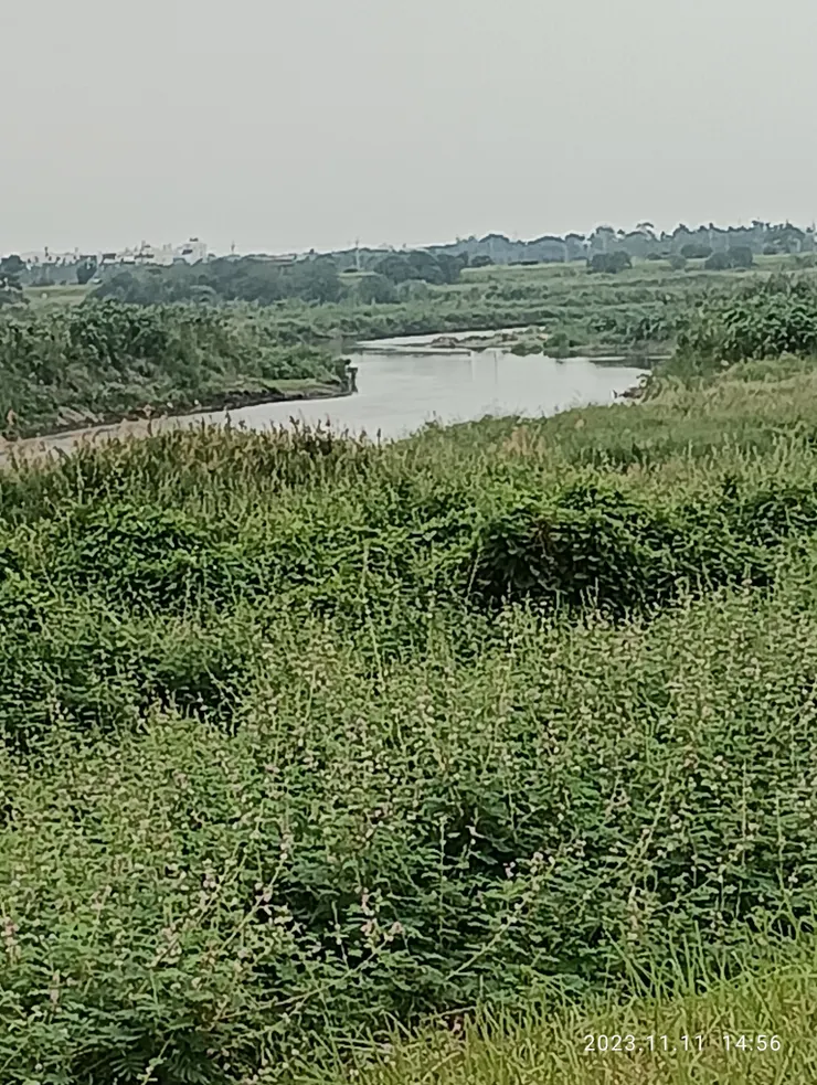 長堤連天疑無路，自拍攝