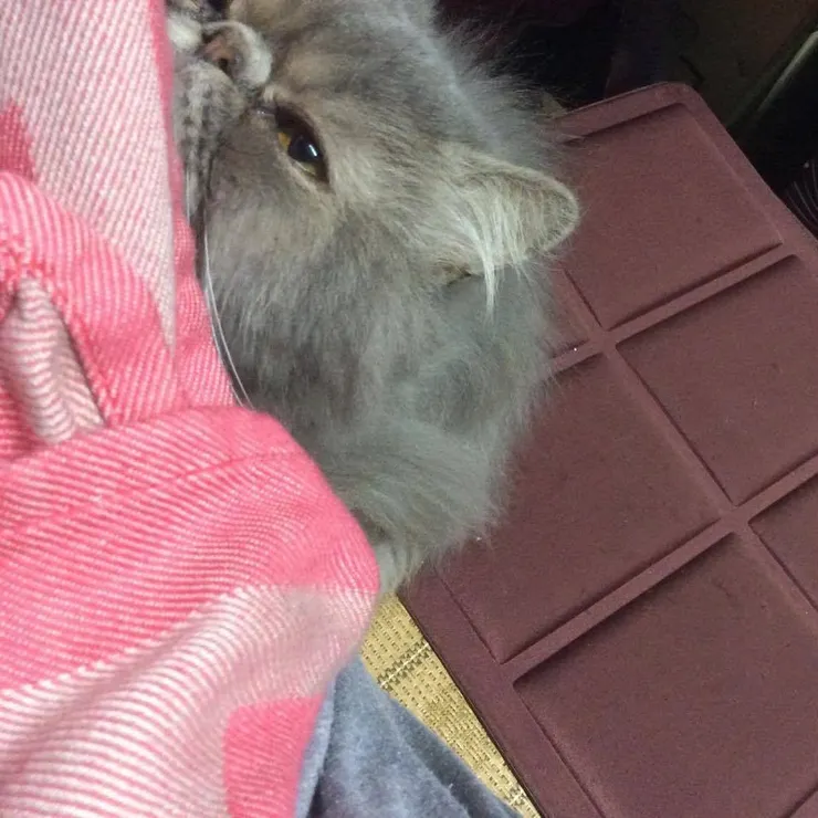 我在跟小八一起回顧過往時,想起某個我從澳洲打工度假回來的冬天,一起依偎在一起的回憶,特別深刻。