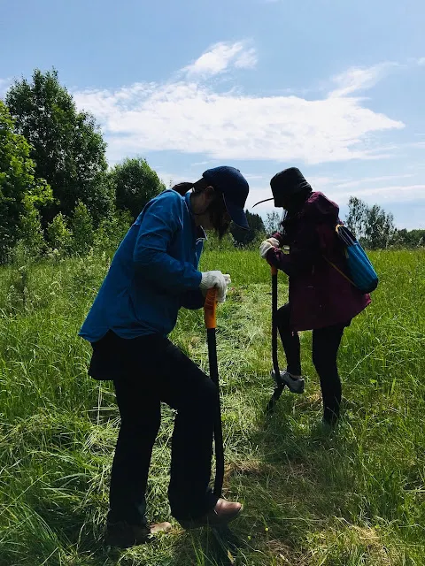 翻土,準備種植小樹苗。