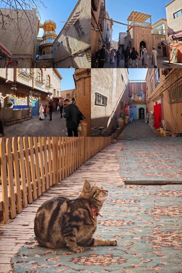 艾格萊其巷(空中花園附近)裡四處都是西域公主。貓咪最可愛~