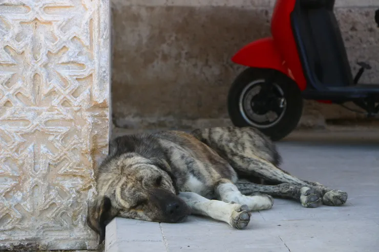 攝影於Sultanhanı, Aksaray Merkez Turkey 2023