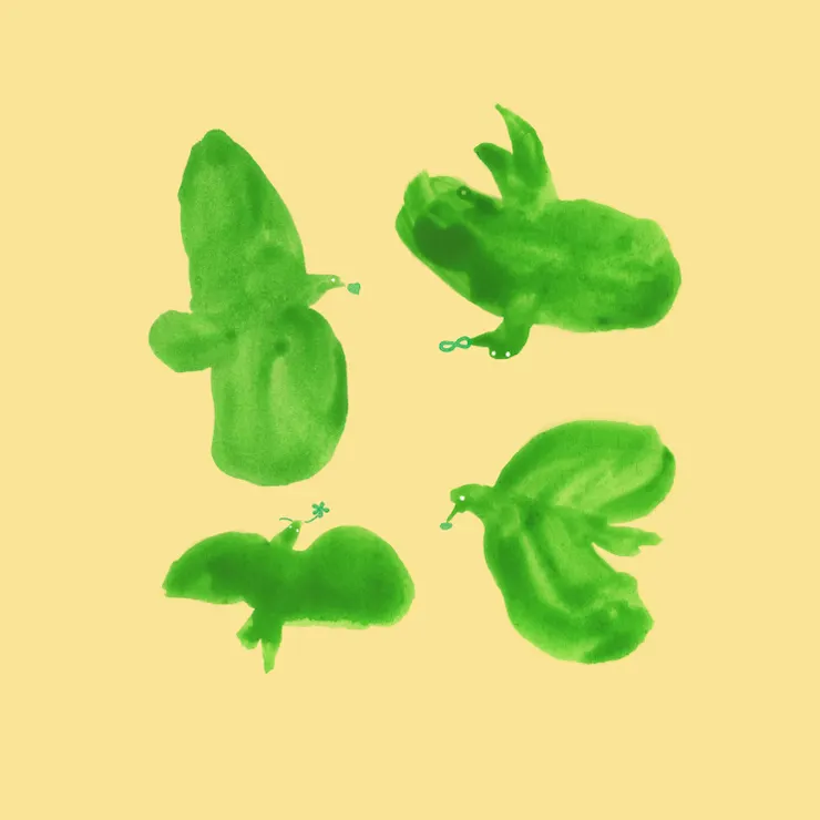 于小鷺。回到過去，帶回什麼