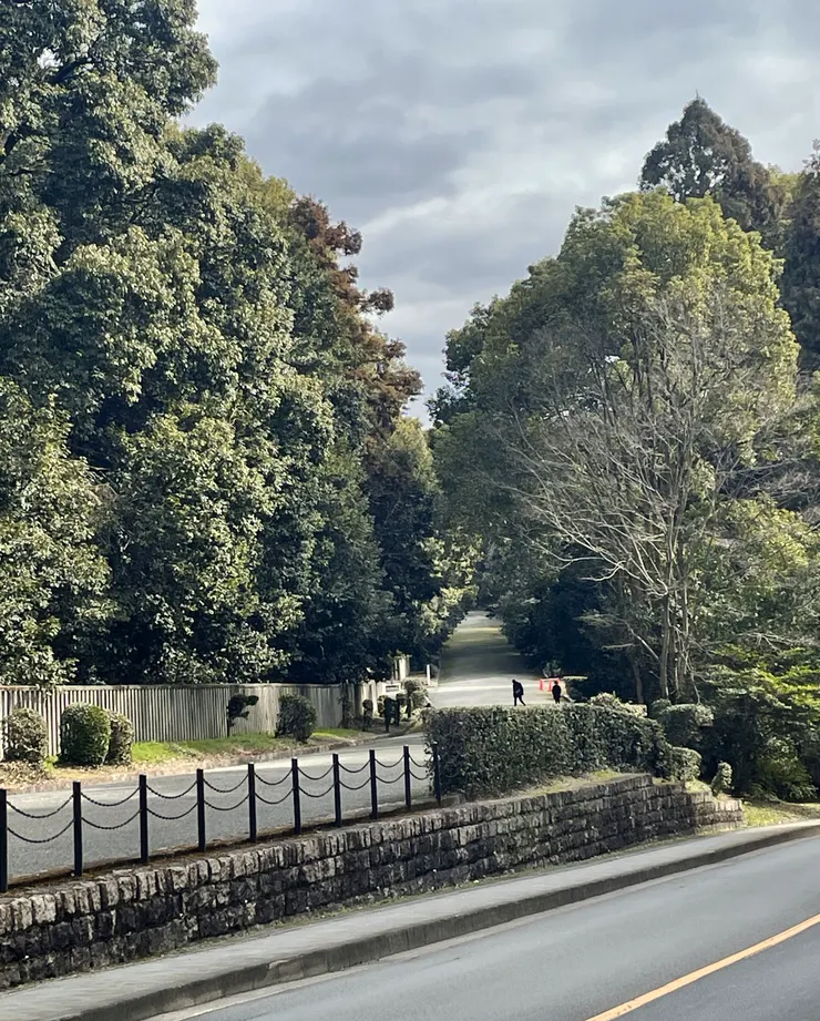 拍攝:Ken(桃山城公園的一側)