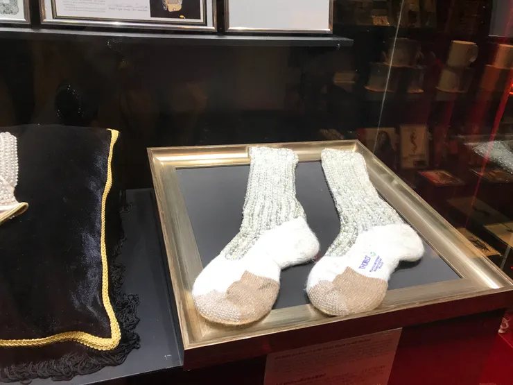 上次看到它們時場館還很大...