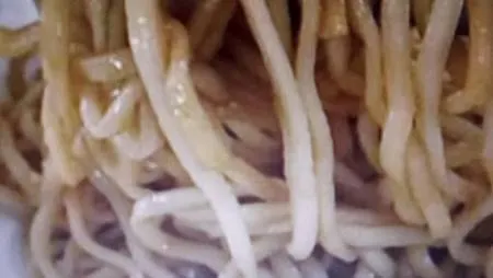 [嘉義美食]食尚玩家節目、YOUTUBER、網路購物等媒體最