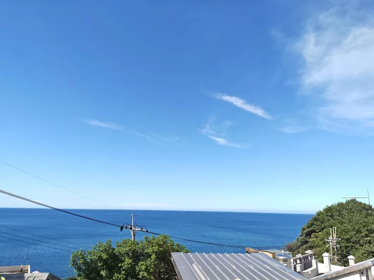 藏拙：like a fool.