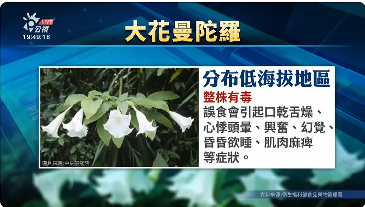 圖片擷取自公視新聞