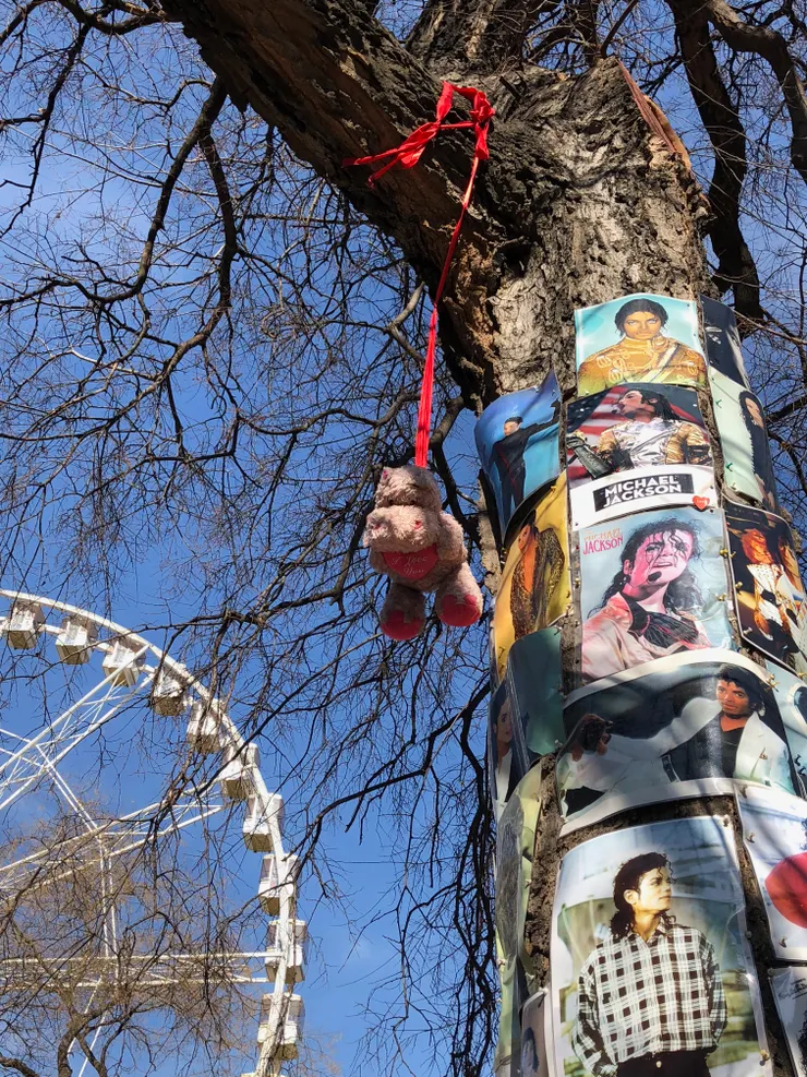 還是去朝聖了 Michael Jackson Memorial Tree
