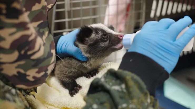 《野生之路》劇照／新北市紀錄片獎