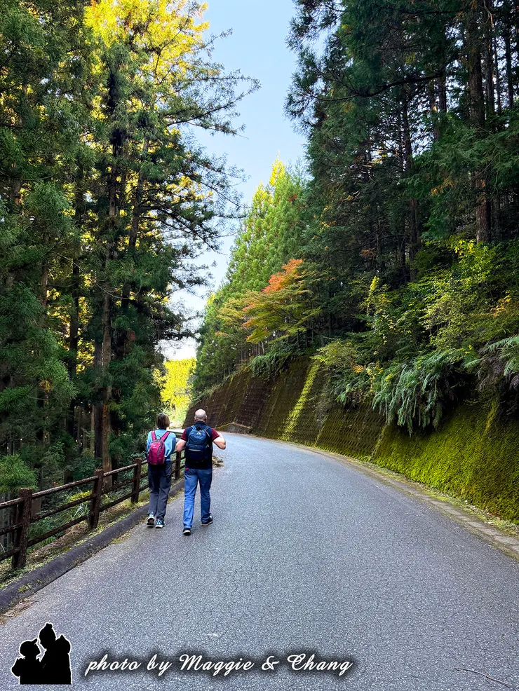 經過發心門後從這裡是「心開始變輕」的道路