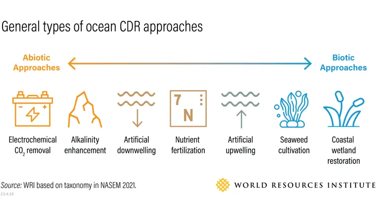 海洋碳移除概念圖