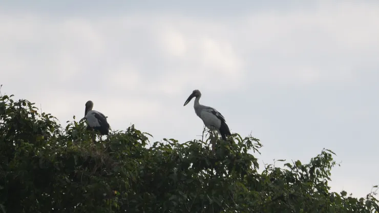 嘴巴裏面有個通風位