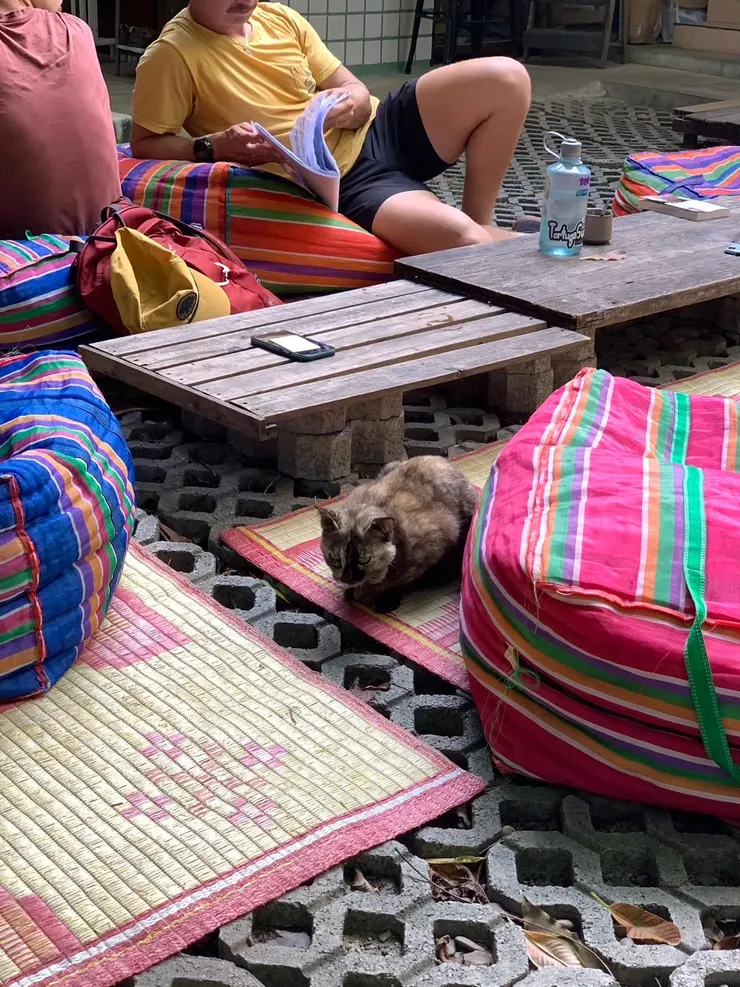 五顏六色是這裡的色調