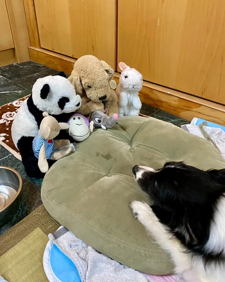 醒著的時候不是看著我就是看著她的娃娃