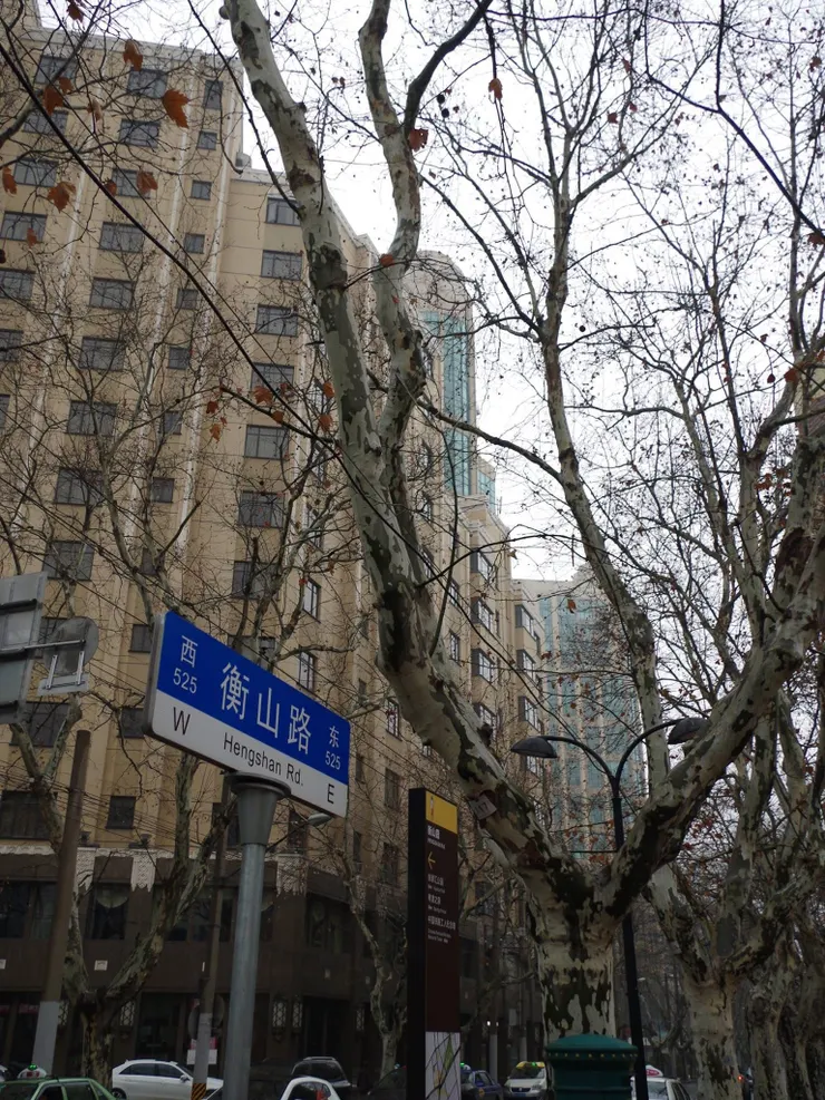 上海@橫山路