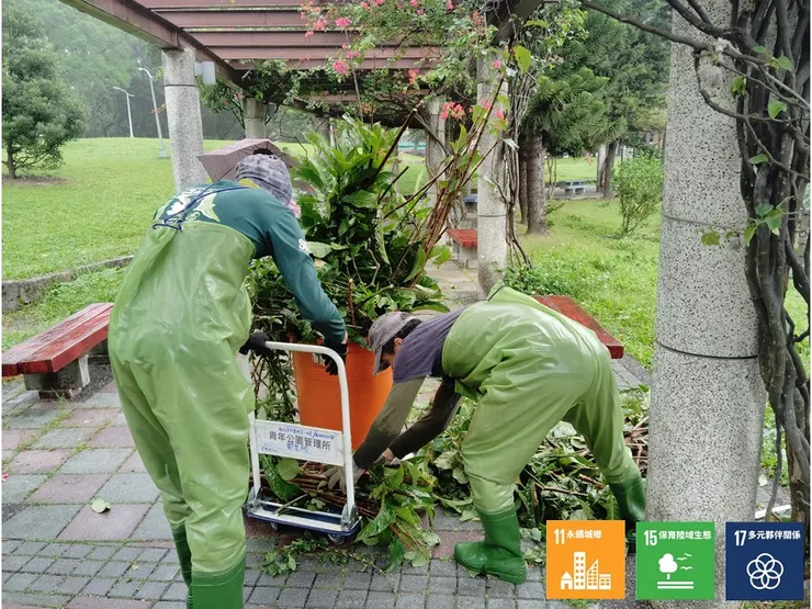 雨勢間只能速速整理岸邊餘留的多餘枝條