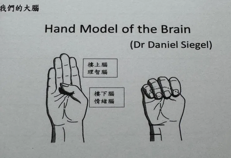 這個手勢超酷的！原來手的長相，跟腦內擺盤有異曲同工之妙😃