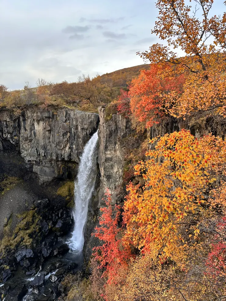 秋天來真的是太美了~
