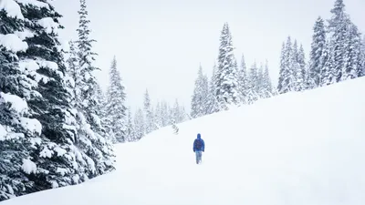 Ellen的自我療癒之路