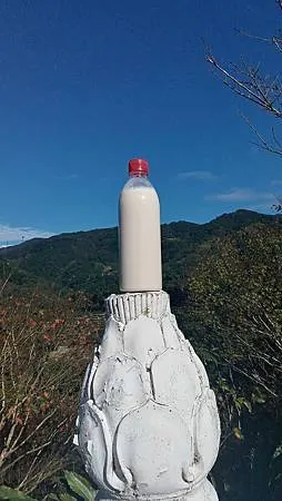 [新北美食]坪林豆腐老店、坪林老街小吃，兩家店家彼此連結、但