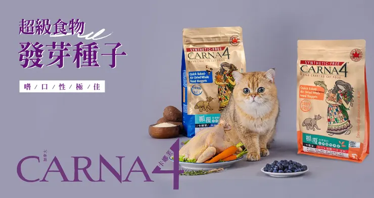 圖片來源：沛緹雅