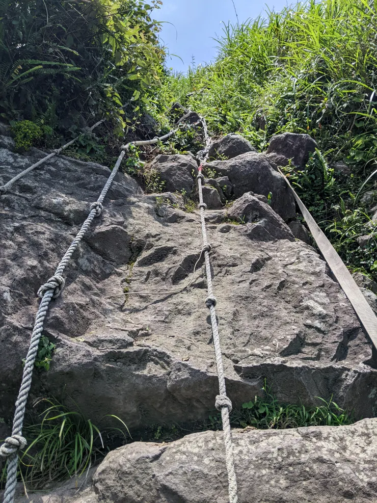 我剛剛是從這邊下來的,到底是怎麼辦到的!?