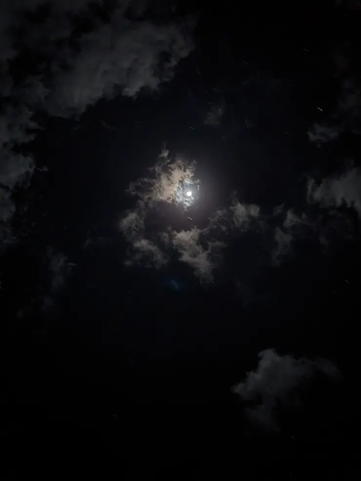 相機拍不出繁星，還好都拍進肉眼裡了