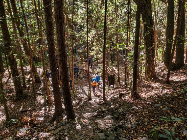 3.1k營地休息後準備起登治腳癢啦！！
