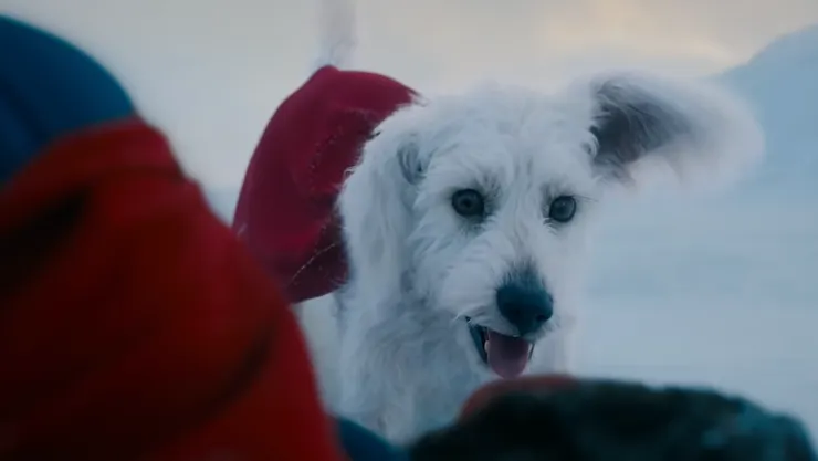 在危急時刻牠總能亂入戰場，既惹人厭又讓人無法不喜歡。