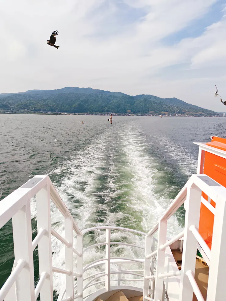 隨船伴飛的海鷗飛鷹