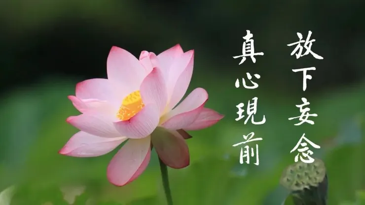 一向專念 阿彌陀佛 求生淨土