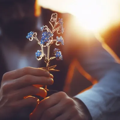 斷橋殘月派唯一傳人