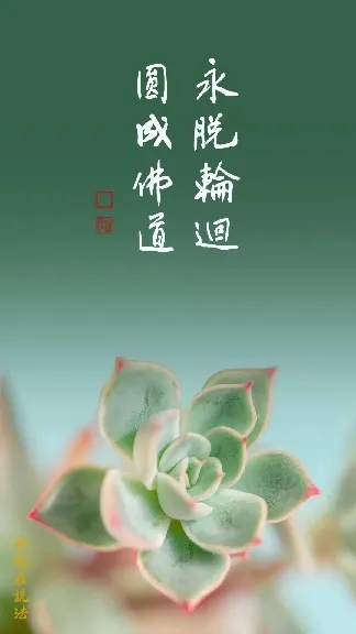 專心持念「阿彌陀佛」萬德洪名，期生淨土