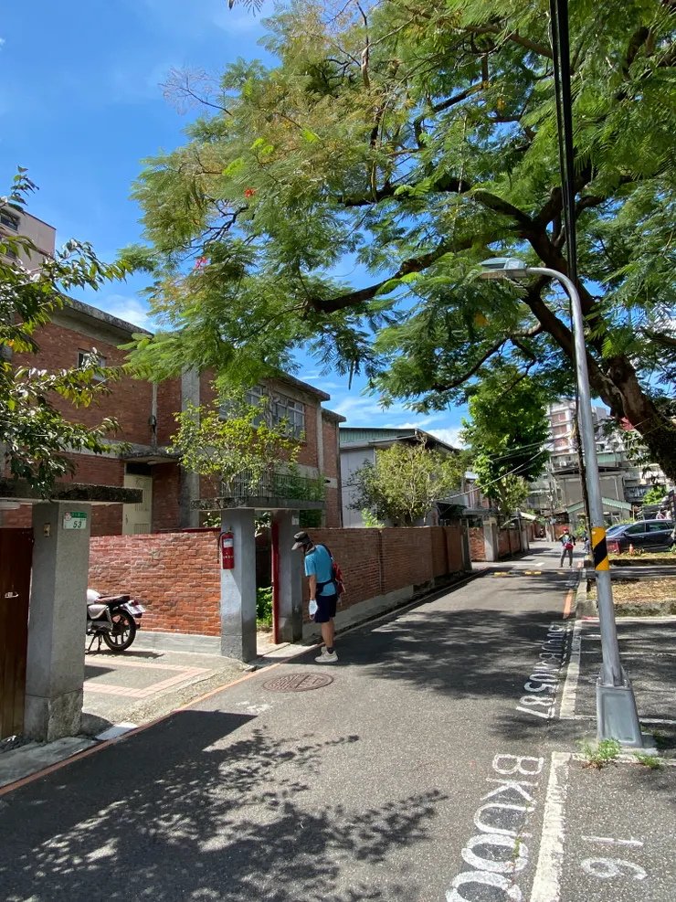 園區內盛開的鳳凰木